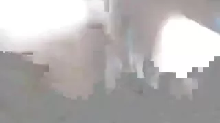 دو گرم سفید لڑکیوں کی سواری ایک بڑا سیاہ فلم سکس پورنو فام آدمی