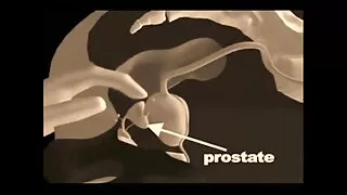 شاندار اسپورٹی brunette کے تجربات سکسی فلم پشتو کی ایک گرم ، شہوت انگیز ڈبل دخول